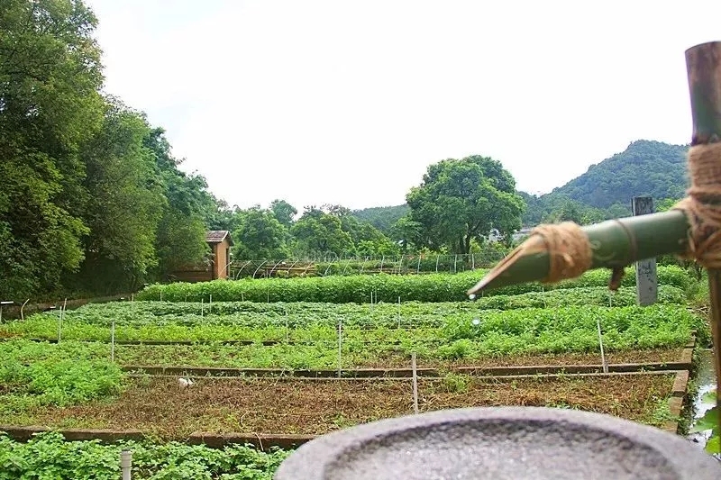 惠州罗浮山温泉旅游攻略,惠州罗浮山风景住宿区