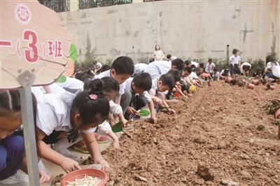 南京晓庄小学教育怎么样,南京晓庄村行知园小学