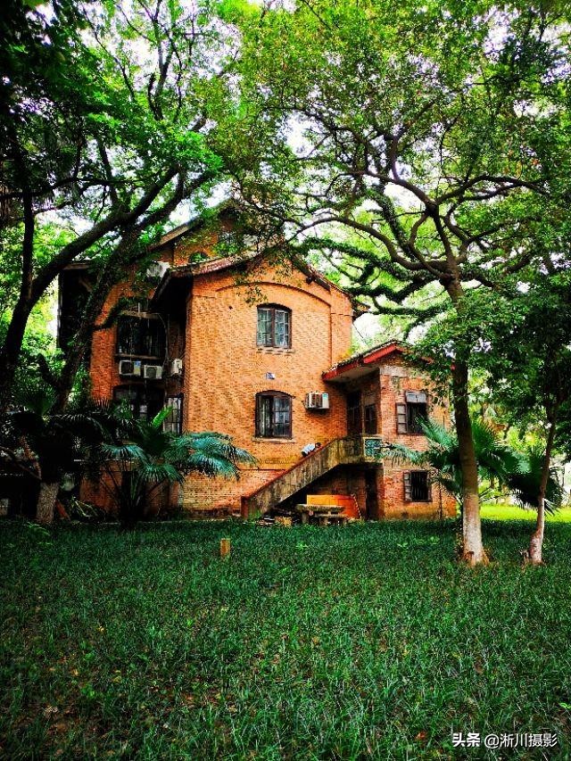 中国最美丽的校园照片,中国最美丽的校园中山大学南校区