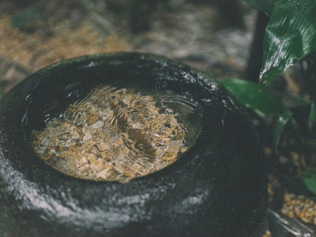 重庆冷清公园,重庆历史悠久的鹅岭公园