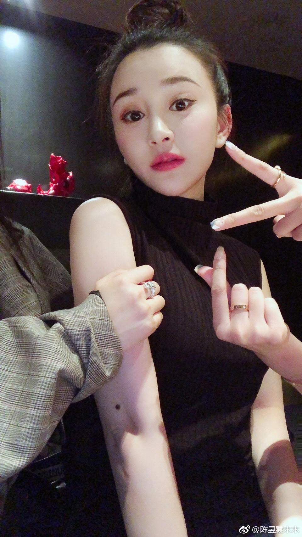 陈昱霖的奢侈品,陈昱霖同款珠宝包