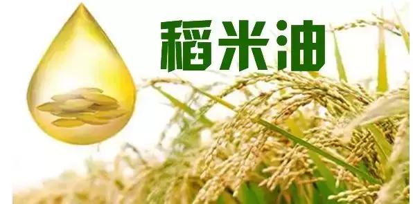 十大热门稻米油排行榜,稻米油排名第一名
