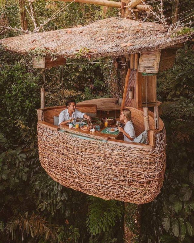 50张照片每一张都让人赞叹不已,50张让人叹为观止的照片