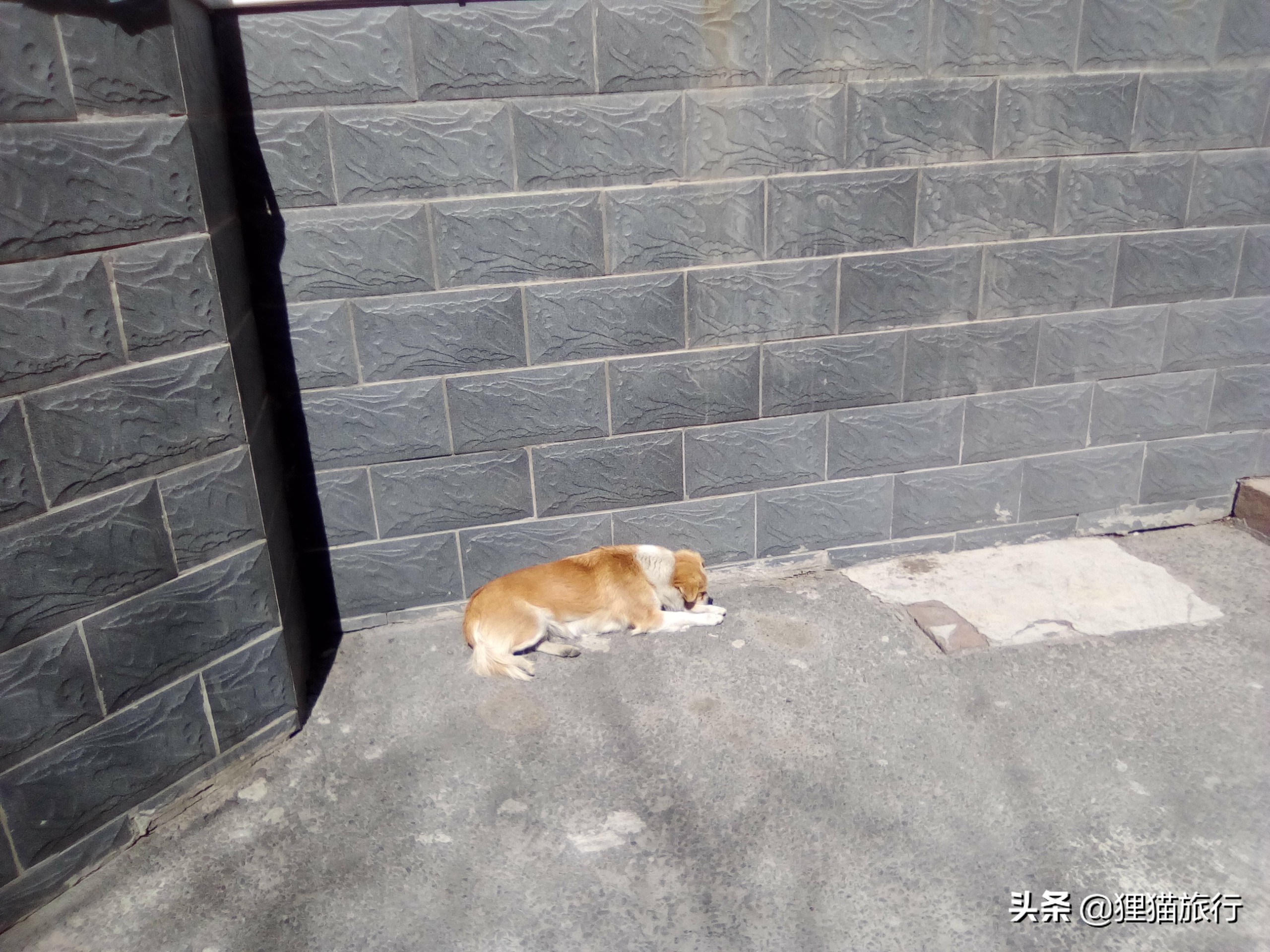 想来新疆旅游自由行,想来新疆的小伙伴