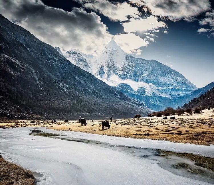 冬天的西藏才是真正的神的天堂,冬日的西藏藏着你不知道的美