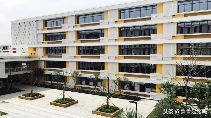 苏州有哪些五年一贯制学校,苏州园区九年一贯制学校排名