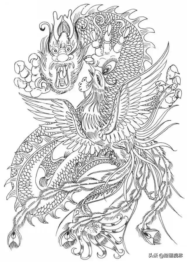 凤凰绘画中国风线稿,凤凰白描线稿特点