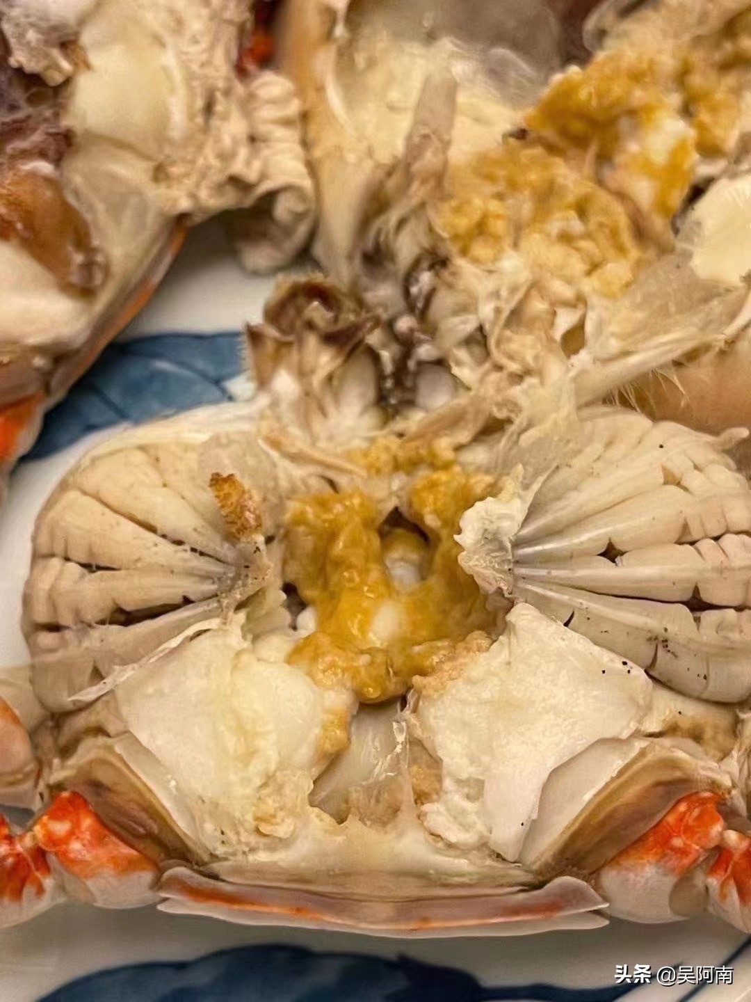 什么时候的螃蟹最肥美,教你挑选螃蟹的8个技巧