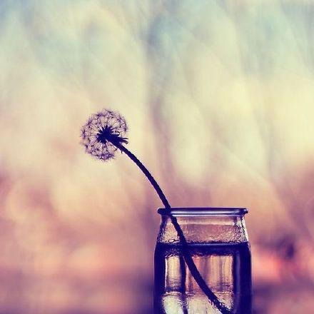 没有白费的努力就没有必然的成功,人生没有白费的努力与碰巧的成功