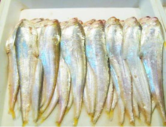 刀鱼从60块钱一斤,跌至3块钱一斤,消费者:再便宜也买不起