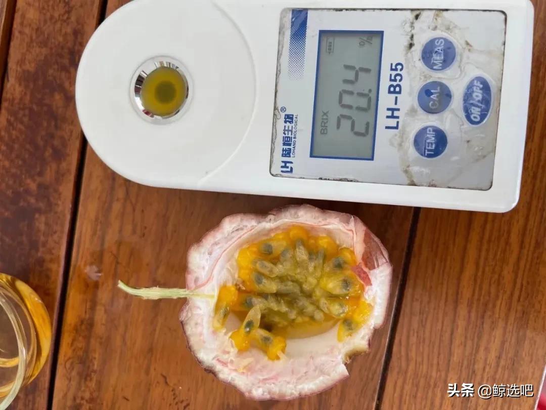 持续增值赋能，鲸选吧溯源助农打造“富贵果”