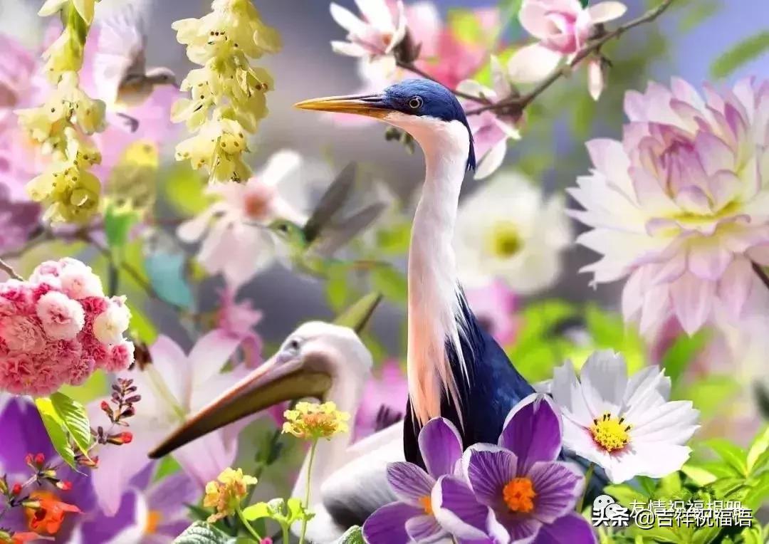 短短几字句句戳心,写得好的经典的句子