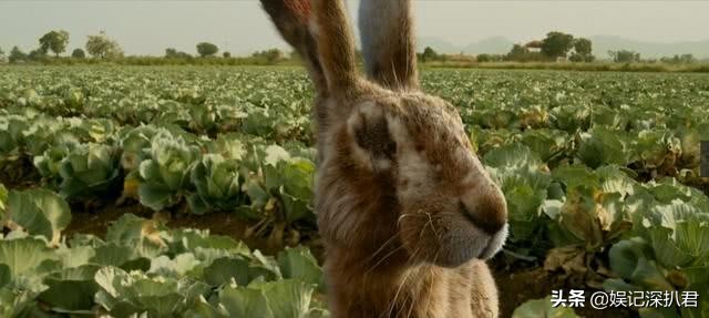 豆瓣评分9.5以上的电影印度电影,印度电影9.1评分2019