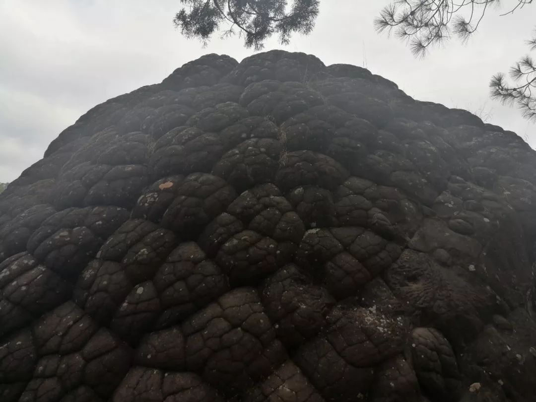 沙溪古镇真的好吗,沙溪古镇有多美