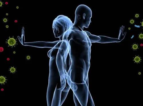 科普免疫系统是如何运作的,免疫系统是如何保护我们的