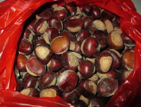 水煮板栗好剥壳怎么做,水煮板栗的正确方法煮多久