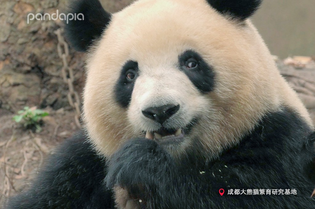 做塑料姐妹,真正的塑料姐妹是什么样的