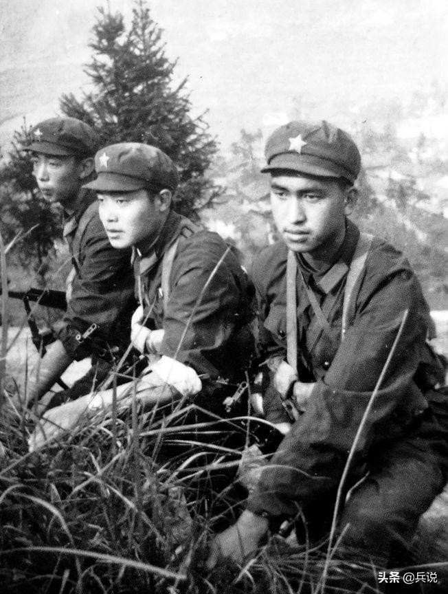 副连长发现，越军阵地细微变化：昨天插的伪装，今天蔫了