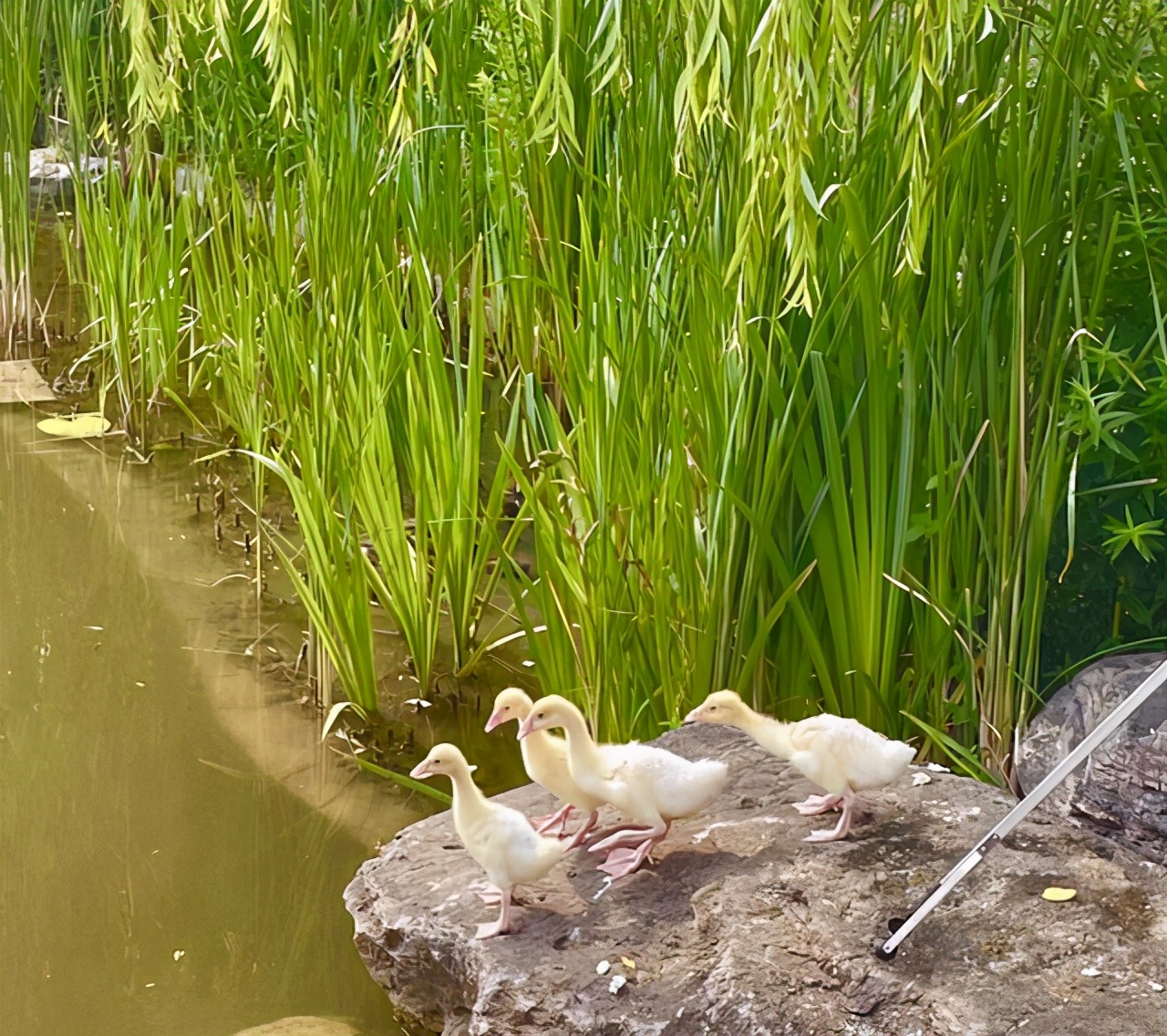 天津春天适合游玩的公园,天津市内适合冬季玩耍的公园