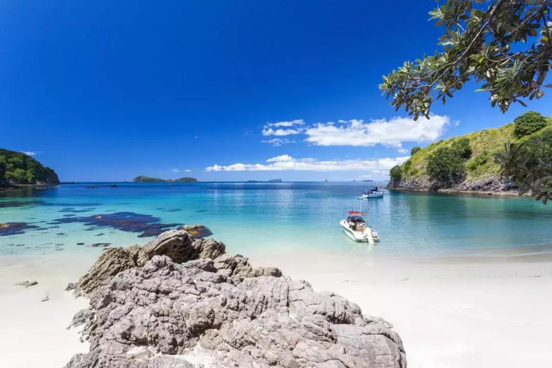 你来过新西兰，可到过水星湾？