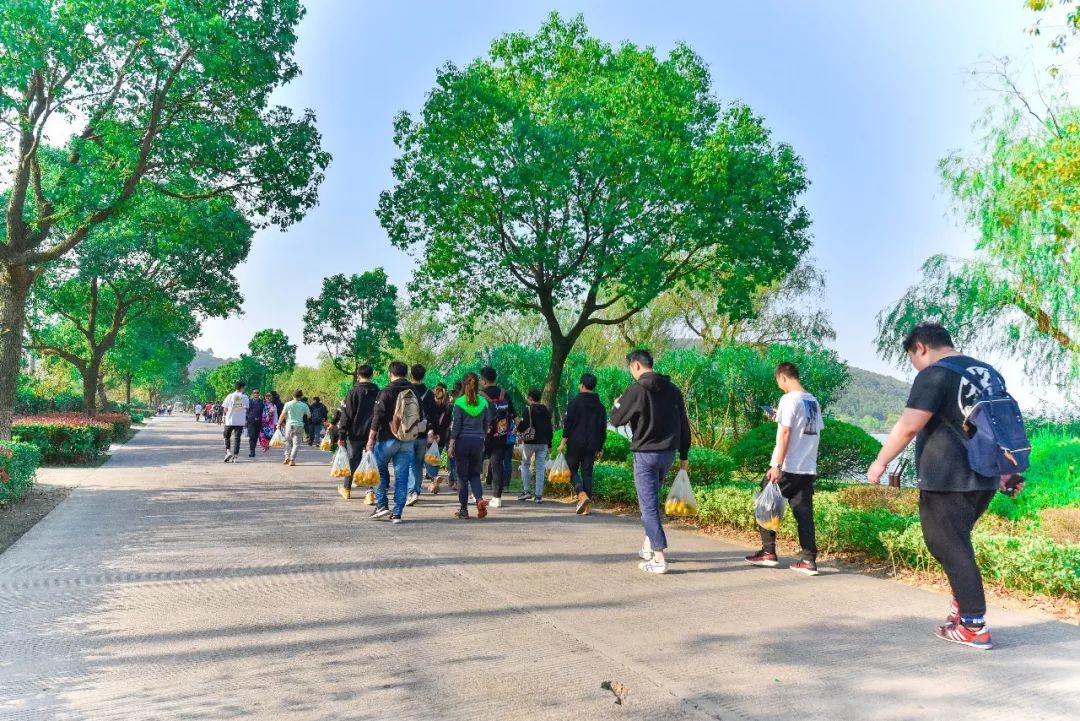 凝心聚力共创辉煌团建总结,凝心聚力激扬青春主题团建活动