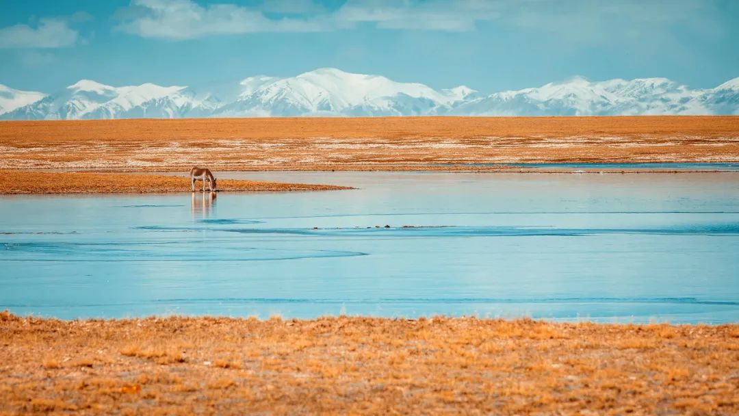 到底该不该穷游西藏,应该穷游吗
