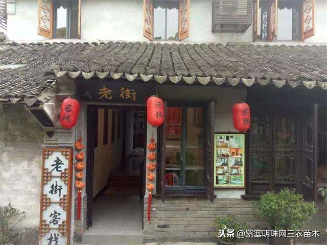 蓟州紫塞明珠农家院,紫塞明珠丰宁农家乐