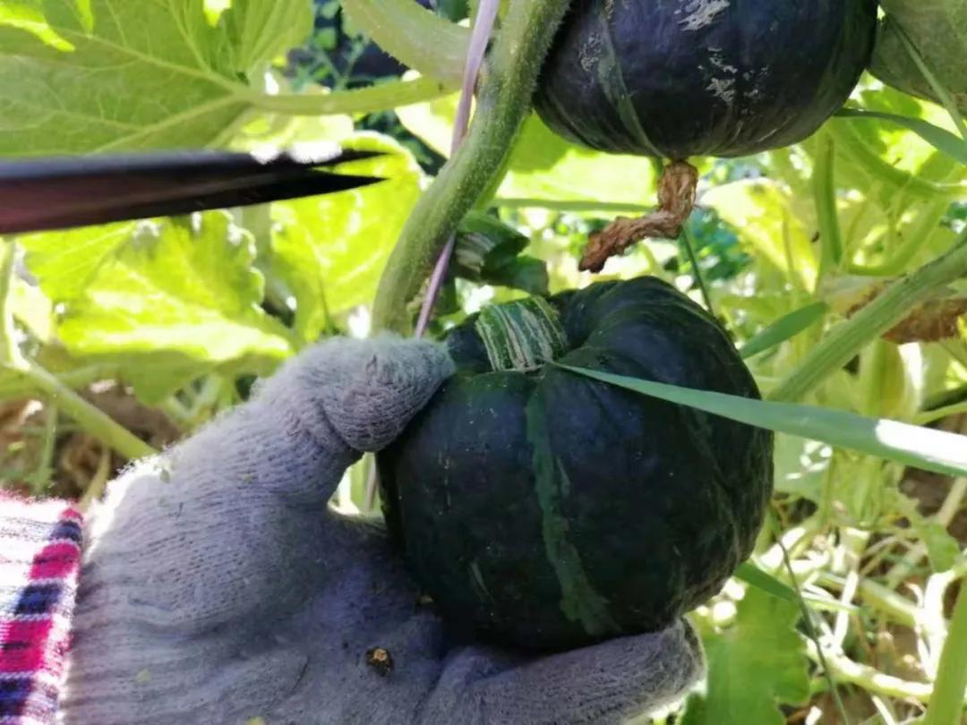 都是好产品，都有优惠价，更多惊喜就在9月12日下午