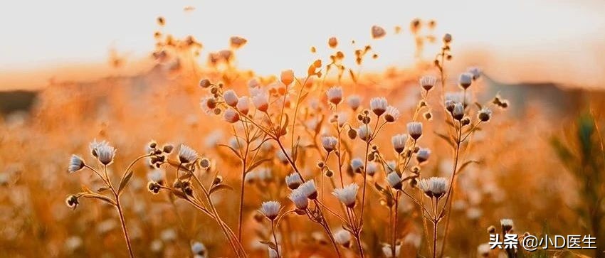 新型冠状病毒肺炎有特效治疗药物了吗？