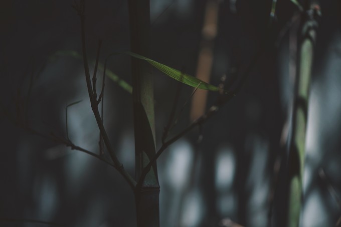 心中有桃花源何处都是山水间,心中若有桃花源何处是水云间