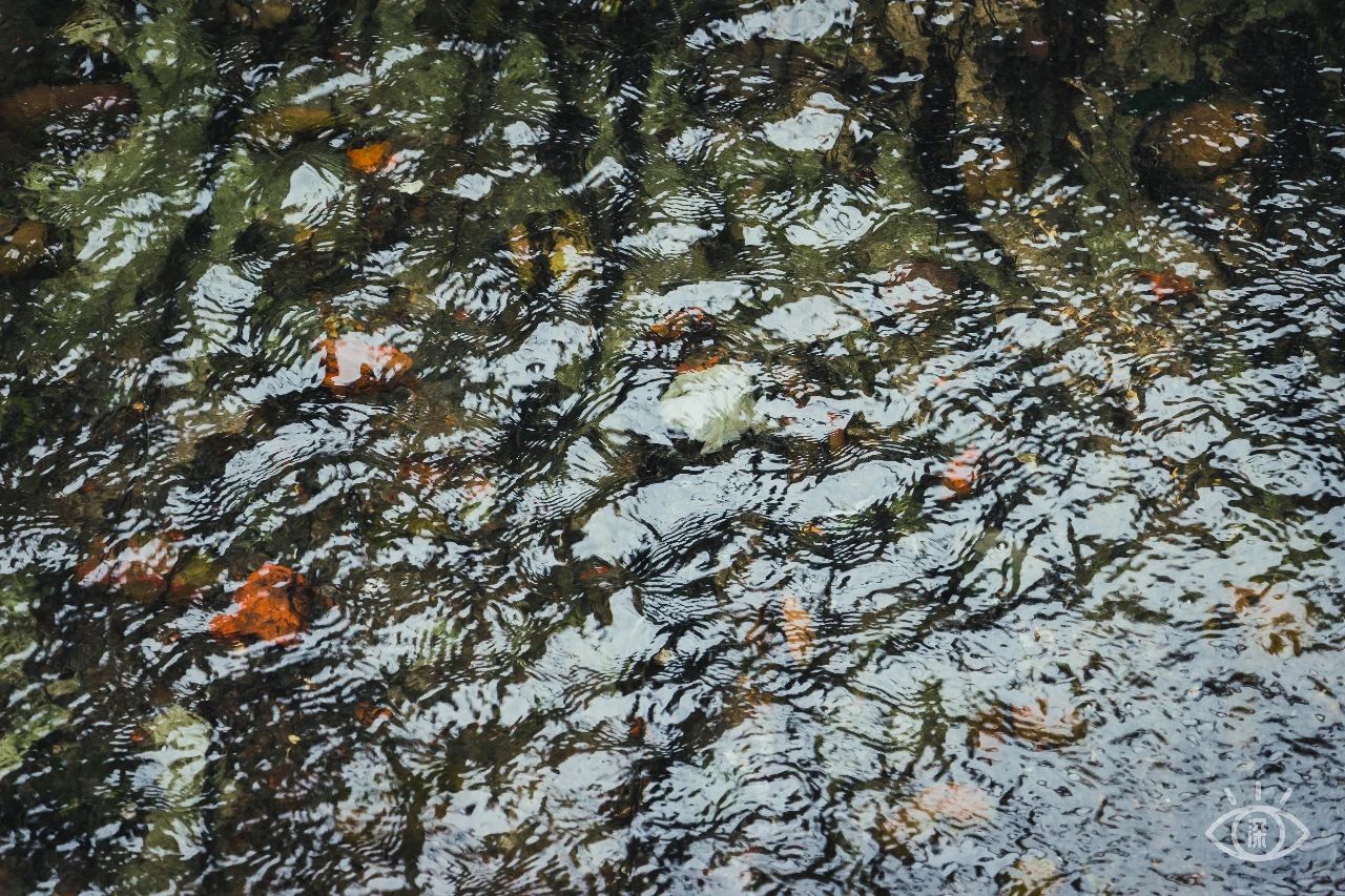 深圳值得逛的古镇,深圳有一条街全是复古的