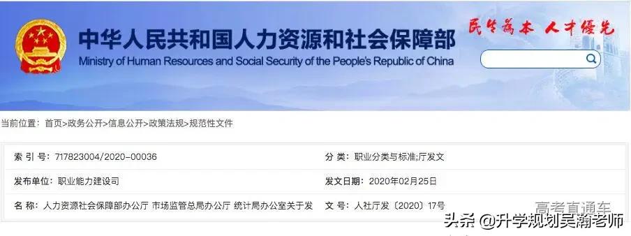 16个新职业选择,16个新职业