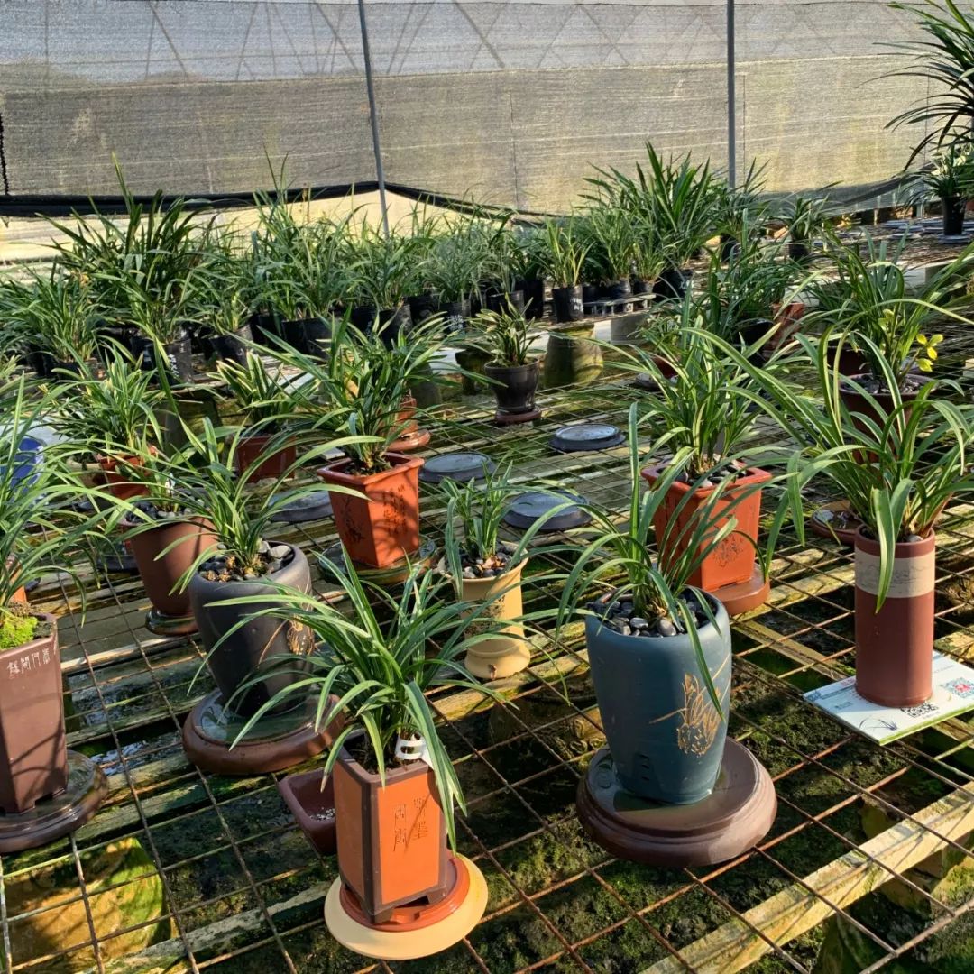 韶关最美乡村游,广东韶关乡村大自然的风景