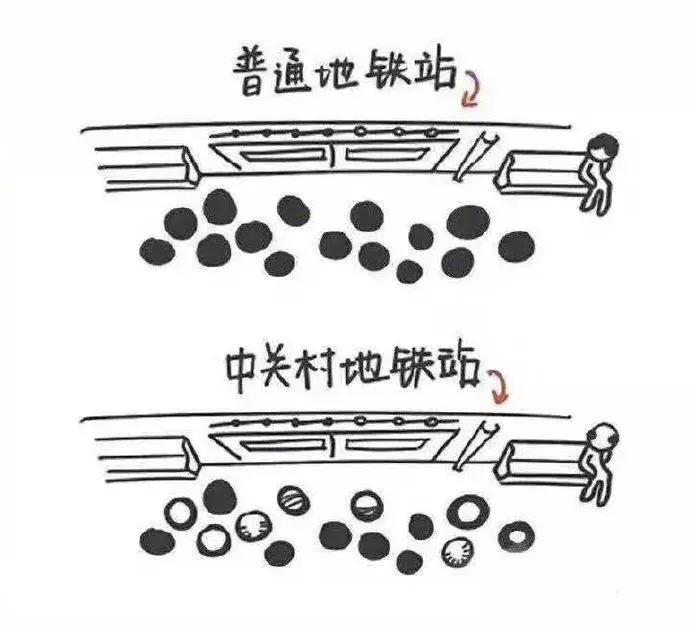 乳头掉了不要紧......它有许多预备军。这绝对是冷知识。