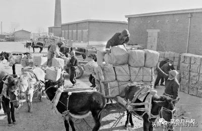 青岛火柴厂视频,青岛火柴厂的回忆