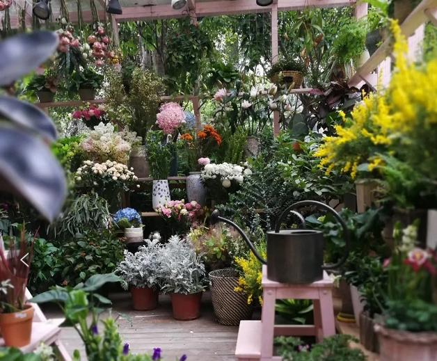 农场盈利新模式,投资万亩农场真实案例