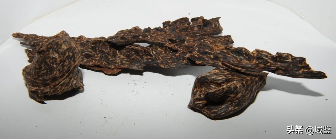 比黄金贵的木头沉香,沉香木比黄金贵
