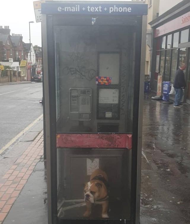 暴风雨“西娅拉”登陆英国，有人却在强风中作死遛狗