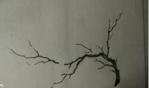 写意梅花画法技法教程视频,小写意花瓶里的梅花的画法