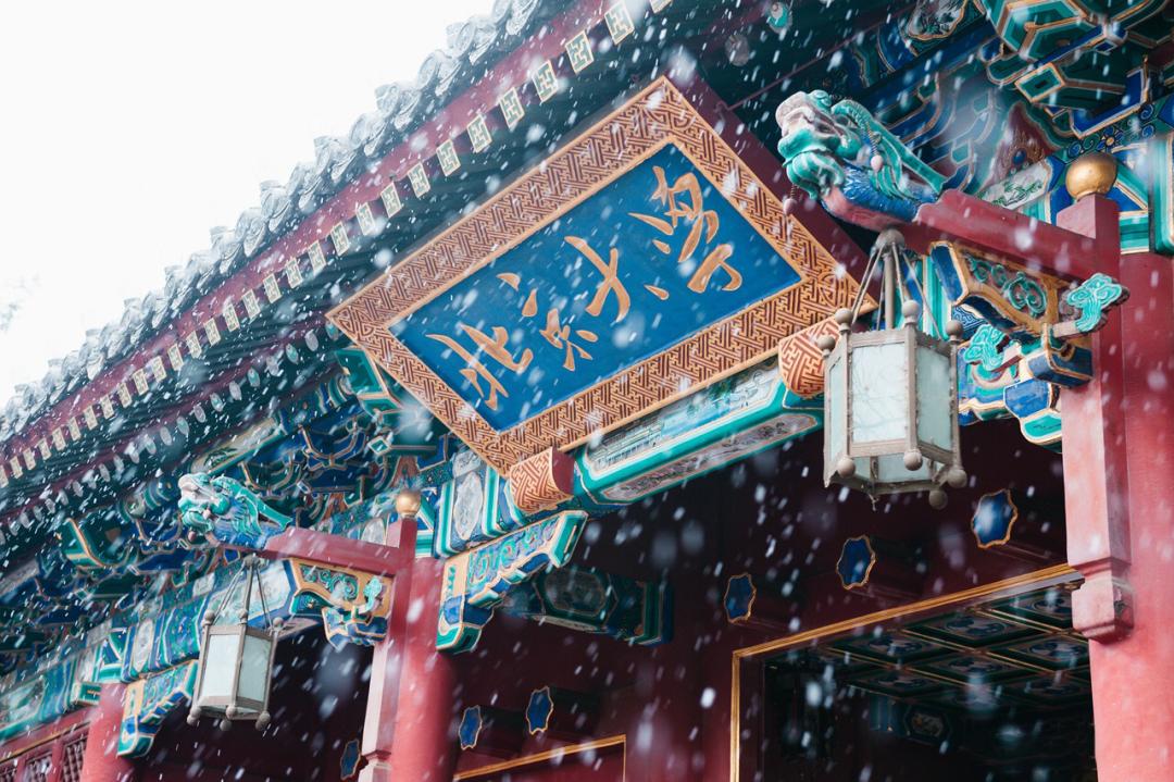 足球队员巡礼,北大男足足球队