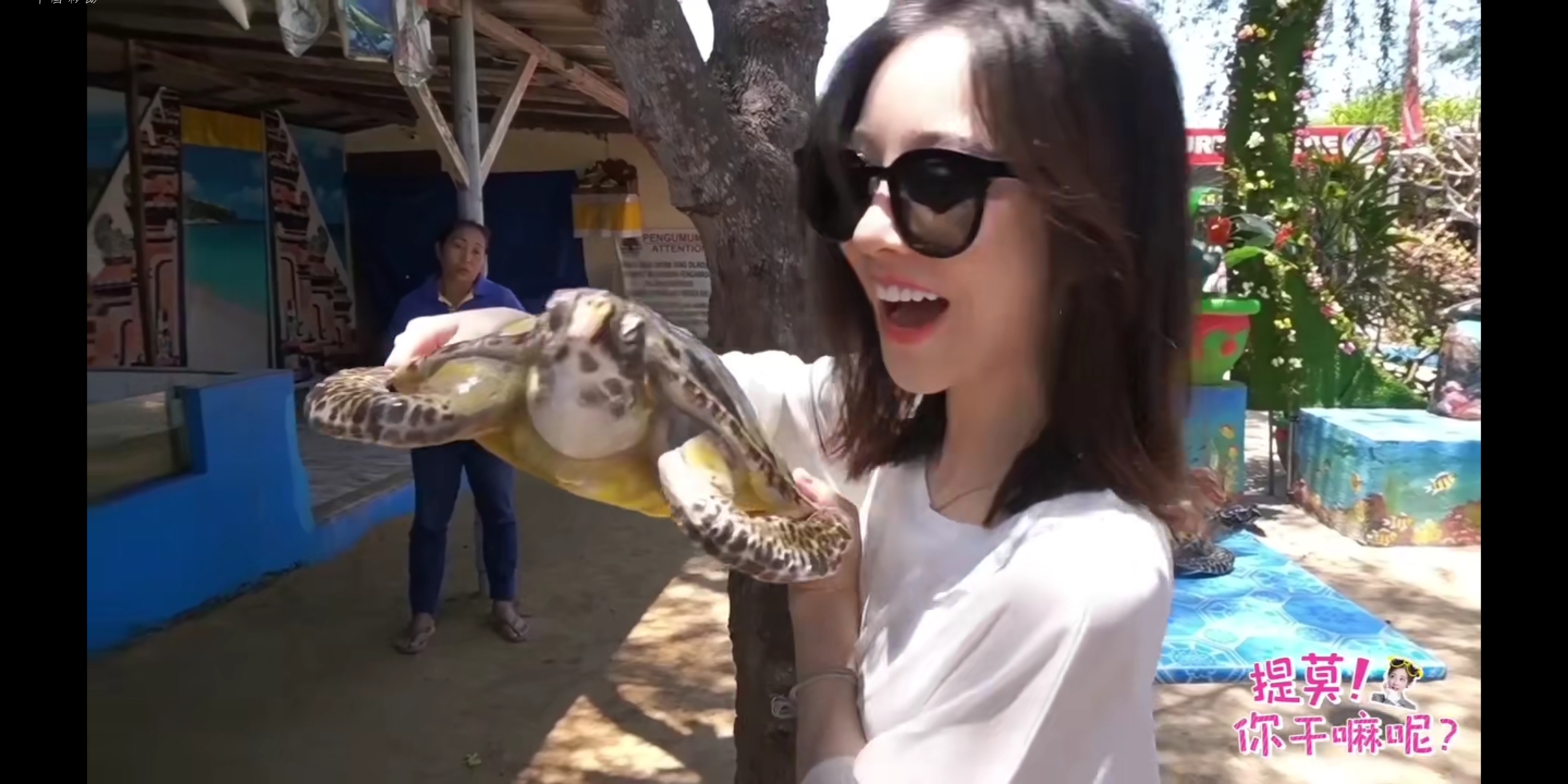 提莫最新一期视频,提莫近照