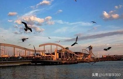 瑞士留学大学的利弊分析，瑞士留学适合你吗