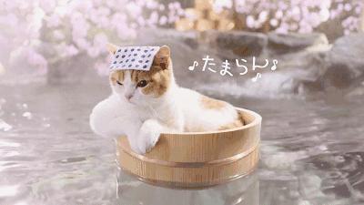 朝阳区汤泉良子,汤泉良子温泉在哪里