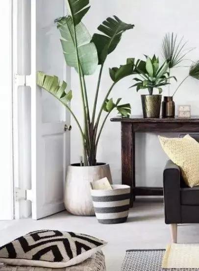 厦门免费房屋改造,厦门旧屋改造出租屋