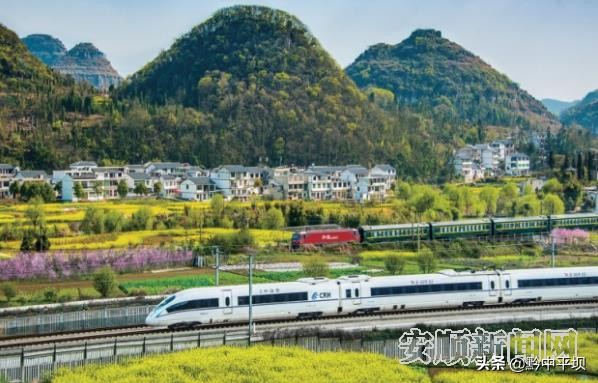 安顺森林城市,森林县城创建方案