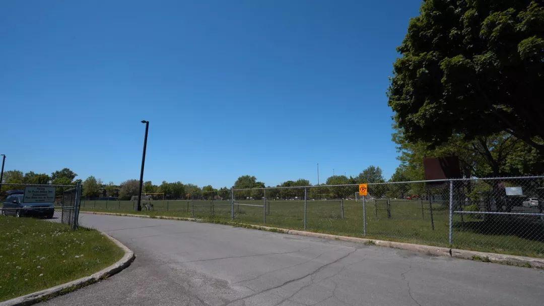 加拿大新的移民政策你知道吗?别再被骗了!