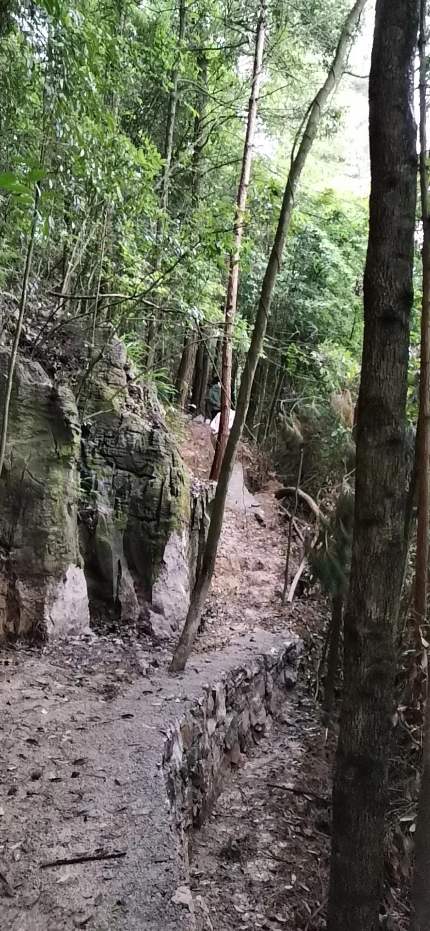 宣恩金龙谷田园综合体项目,九龙峪田园综合体