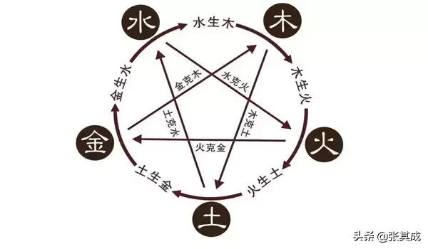 天干地支五行对应表视频,一张表让你看懂五行与人体关系