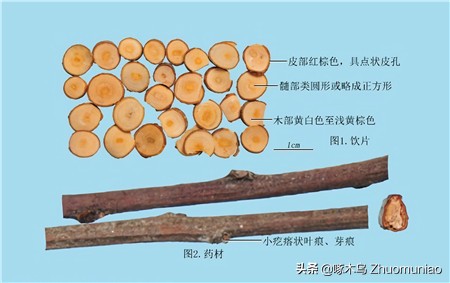 【清风典历】学如不及，犹恐失之