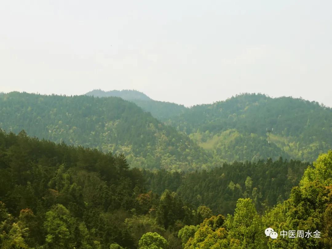 品味本草之美（第一季）